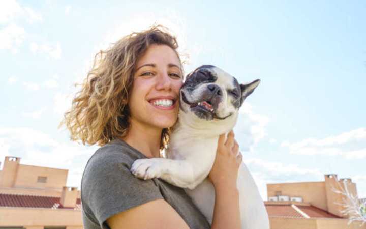 Cachorro feliz